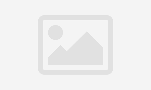 Executive Master in Digital Transformation & Innovation Management